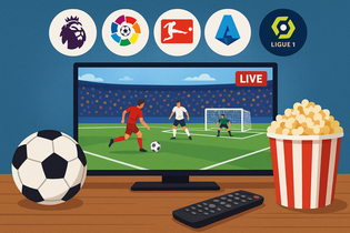 查询结果图表示例